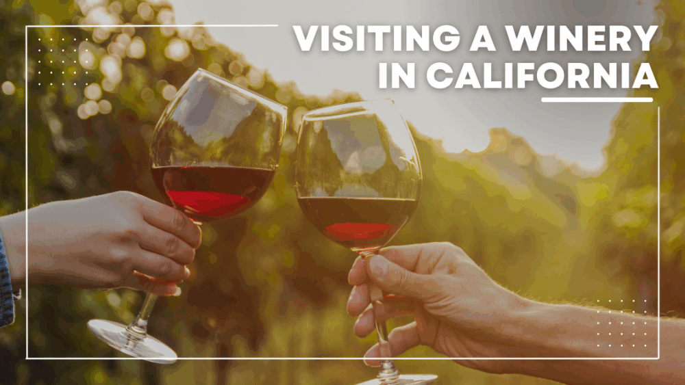 Visiting a Winery in California